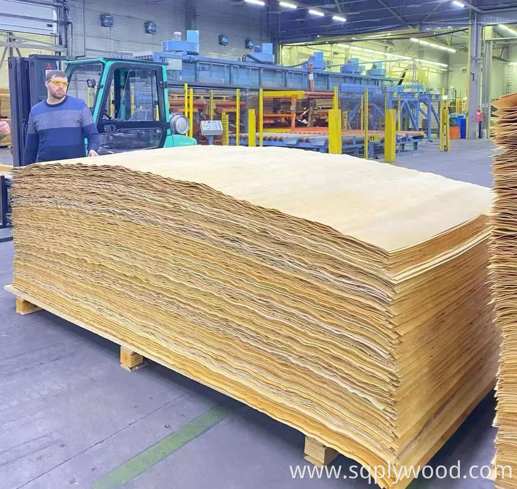9/12/18mm Melamine Film Faced Poplar Pine Birch Marine Laminated Veneer Shuttering Plywood
